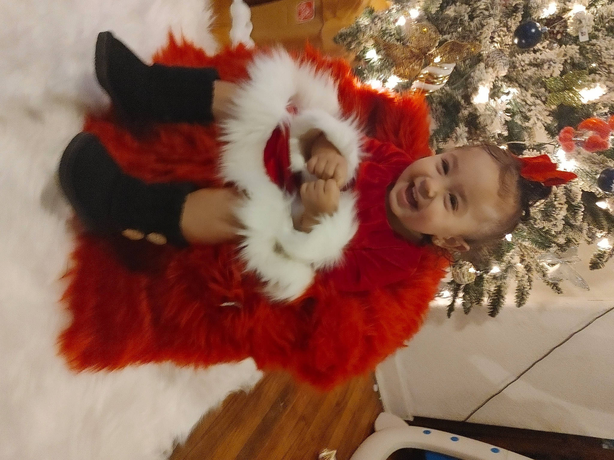 Ariya joined the competition — help win amazing prizes! christmas_ornament, christmas_tree, companion_dog, event, fawn, fun, fur, fur_clothing, glove, happy, holiday, holiday_ornament, natural_material, ornament, person, plant, red, santa_claus, textile, tree