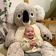 Jules a rejoint le concours — aidez-le/la à gagner de superbes lots ! baby, smile, stuffed_animal, koala, plush, indoor, child, cute, happy, toy, seated, clothing, sweater, pants, face, person, home, decor, furniture, infant