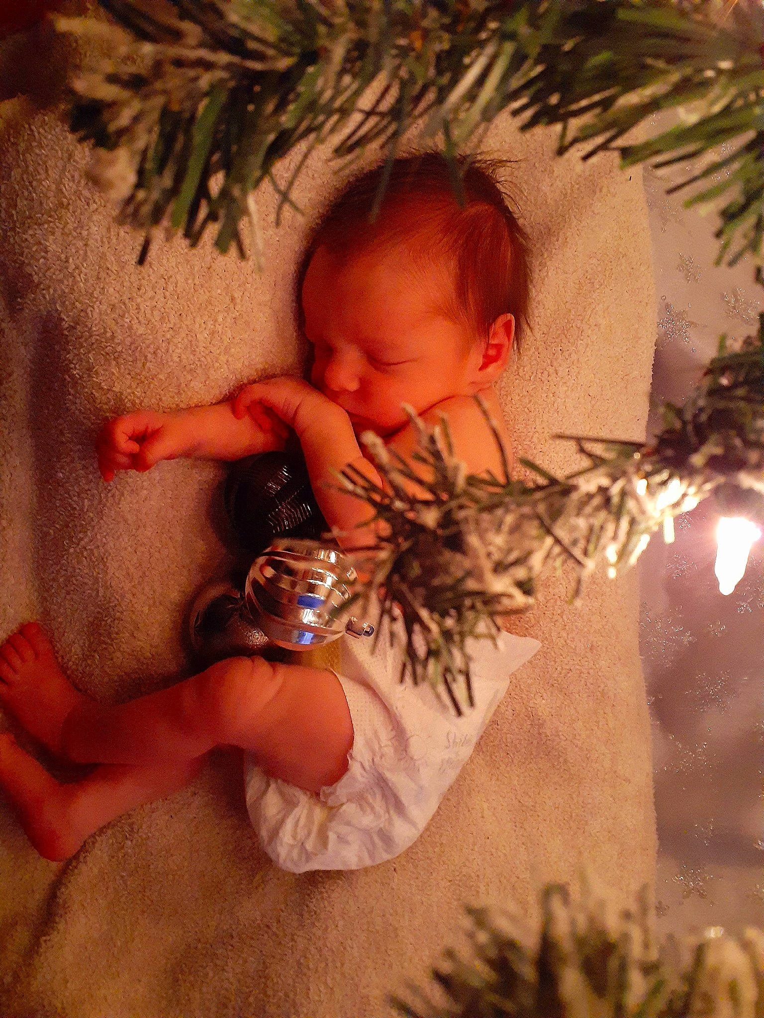 Evan joined the competition — help win amazing prizes! abdomen, baby, baby_toddler_clothing, child, christmas_ornament, conifer, event, evergreen, fun, grass, hairstyle, happy, holiday, holiday_ornament, nail, ornament, people_in_nature, person, toddler, trunk