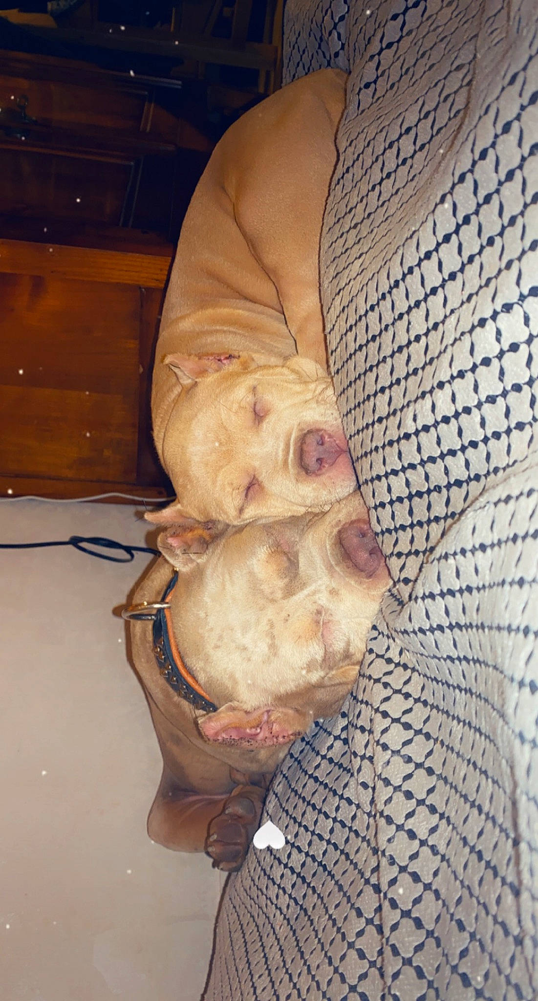 Scarface participe au concours pour gagner de l'argent avec cette photo : artifact, comfort, flooring, foot, jaw, mesh, pattern, personal_protective_equipment, sculpture, wood