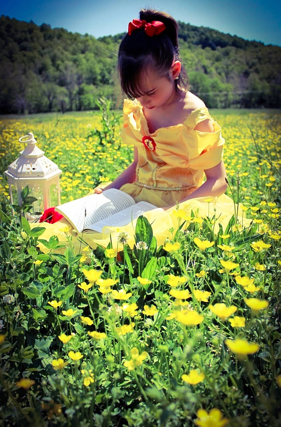 Jessica-lynn joined the competition — help win amazing prizes! botany, flower, grass, grassland, green, groundcover, happy, landscape, leaf, light, morning, natural_environment, natural_landscape, people_in_nature, person, petal, plant, sky, summer, sunlight