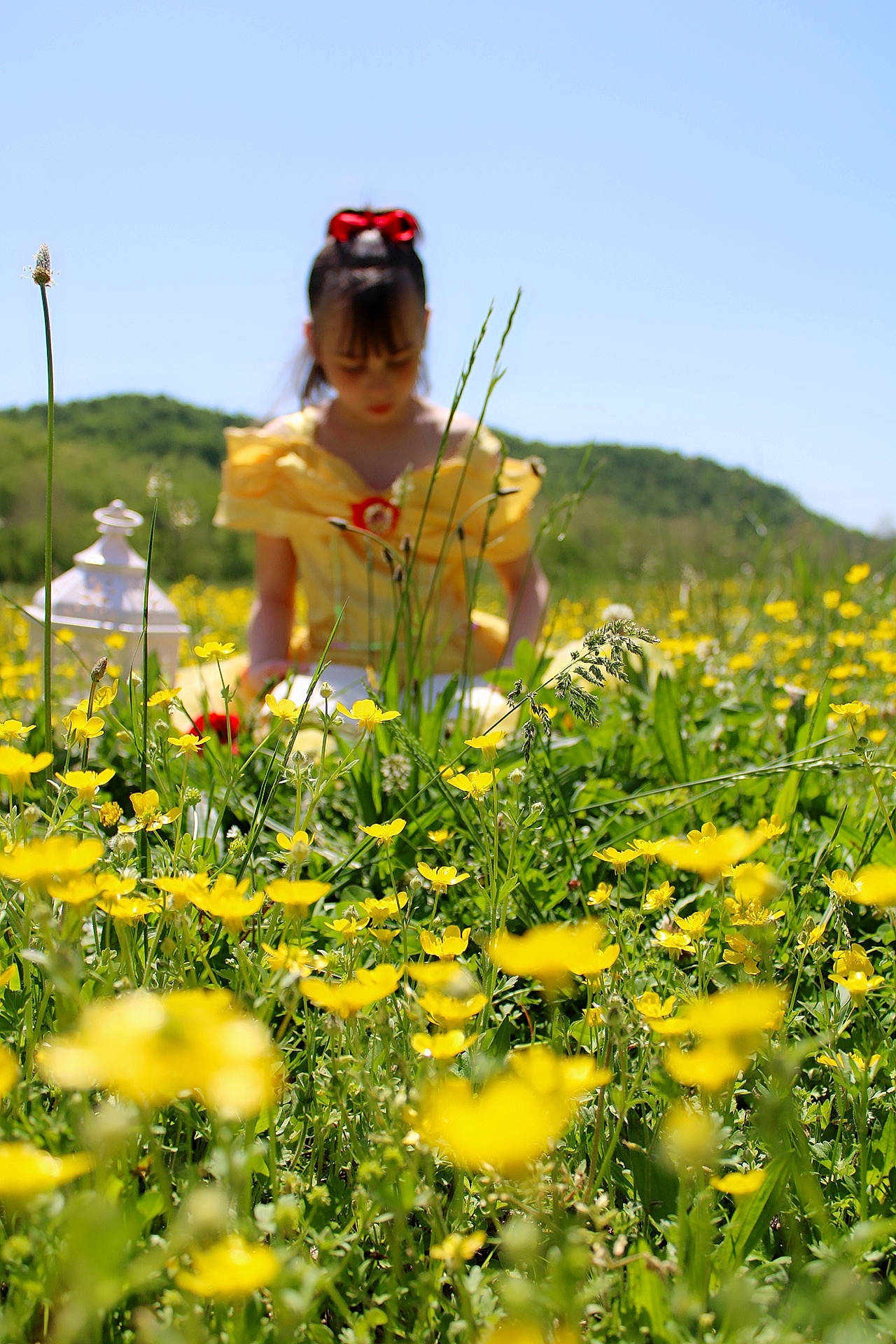 Jessica-lynn is registered to the contest to win money with this photo: agriculture, annual_plant, ecoregion, field, flower, flowering_plant, grass, grassland, happy, landscape, meadow, natural_landscape, people_in_nature, person, petal, plant, prairie, sky, spring, street_light