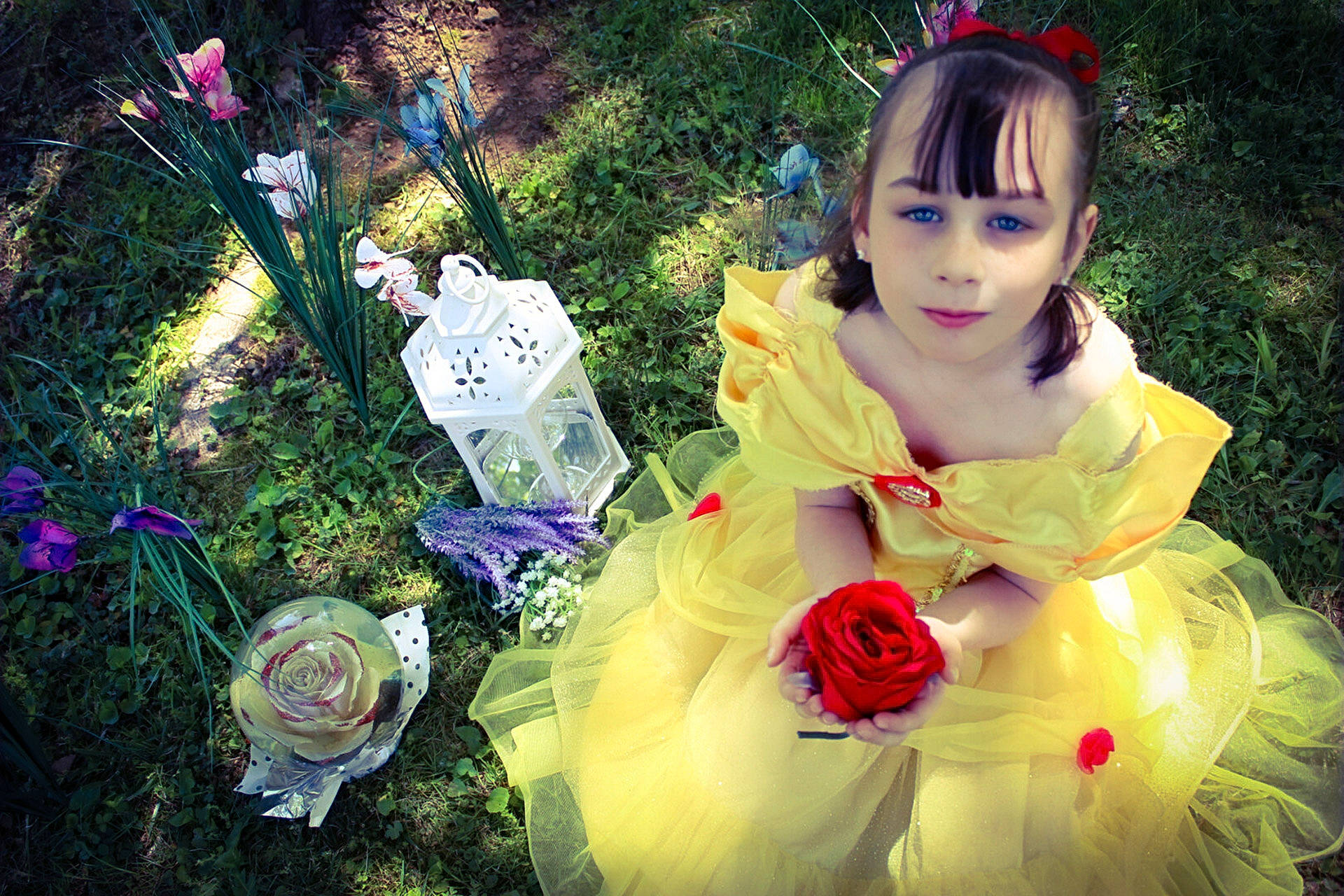 Jessica-lynn joined the competition — help win amazing prizes! botany, bouquet, dress, electric_blue, event, fawn, flower, flower_arranging, flowering_plant, grass, happy, hybrid_tea_rose, people_in_nature, person, petal, pink, plant, rose, rose_family, toy