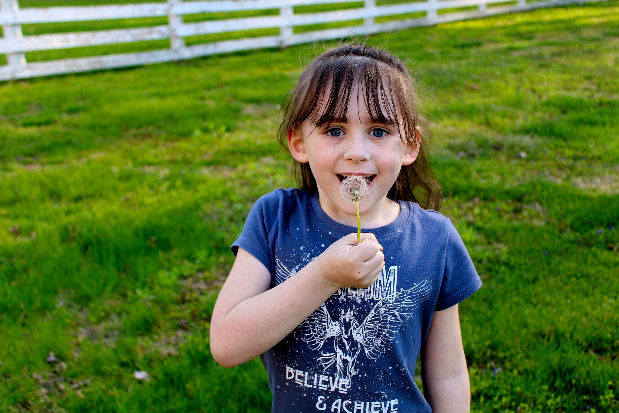 Lylli joined the competition — help win amazing prizes! blond, child, electric_blue, fence, fun, gesture, grass, grass_family, grassland, hair, happy, iris, joy, lawn, leisure, meadow, people_in_nature, person, smile, summer