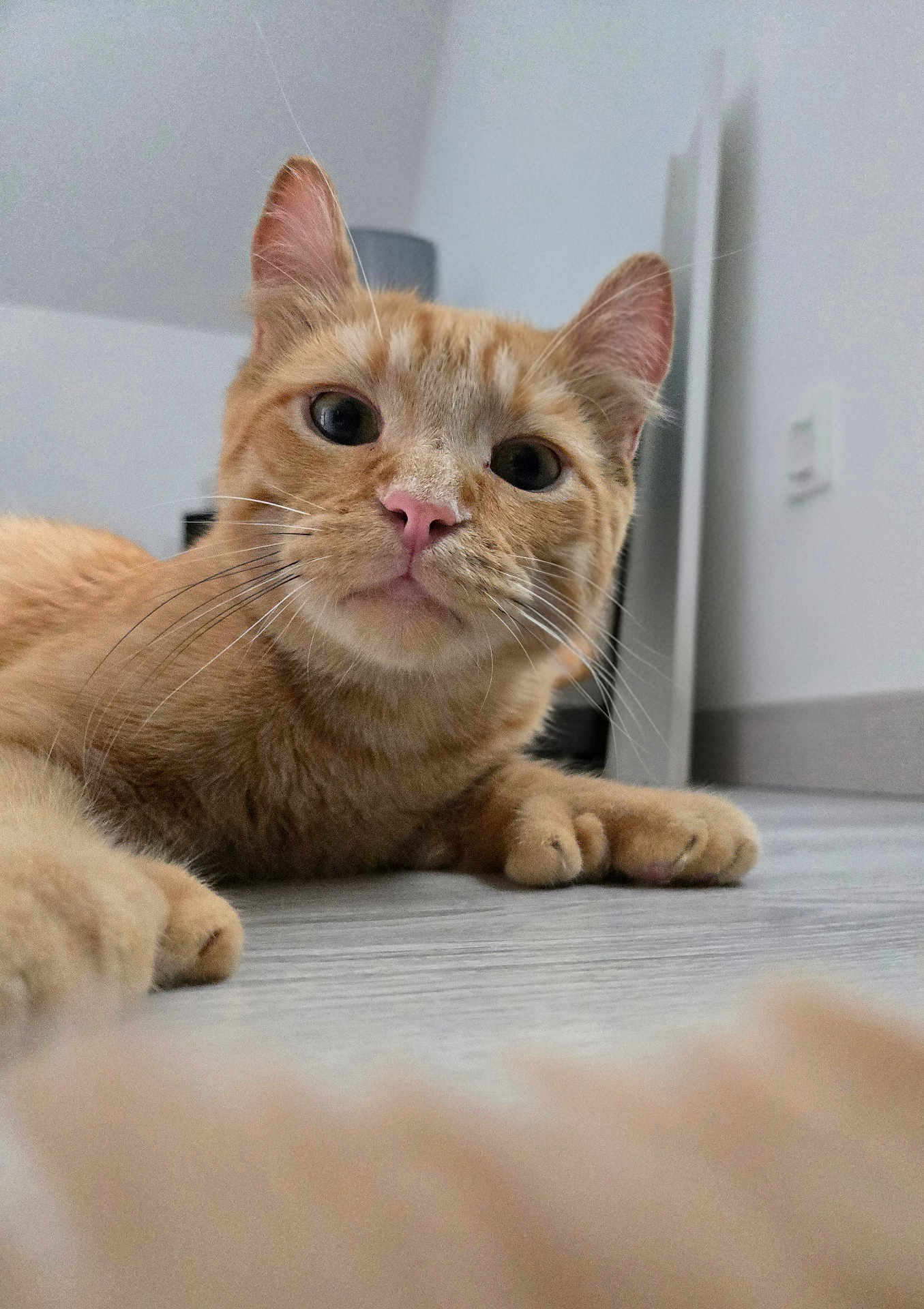 Sam