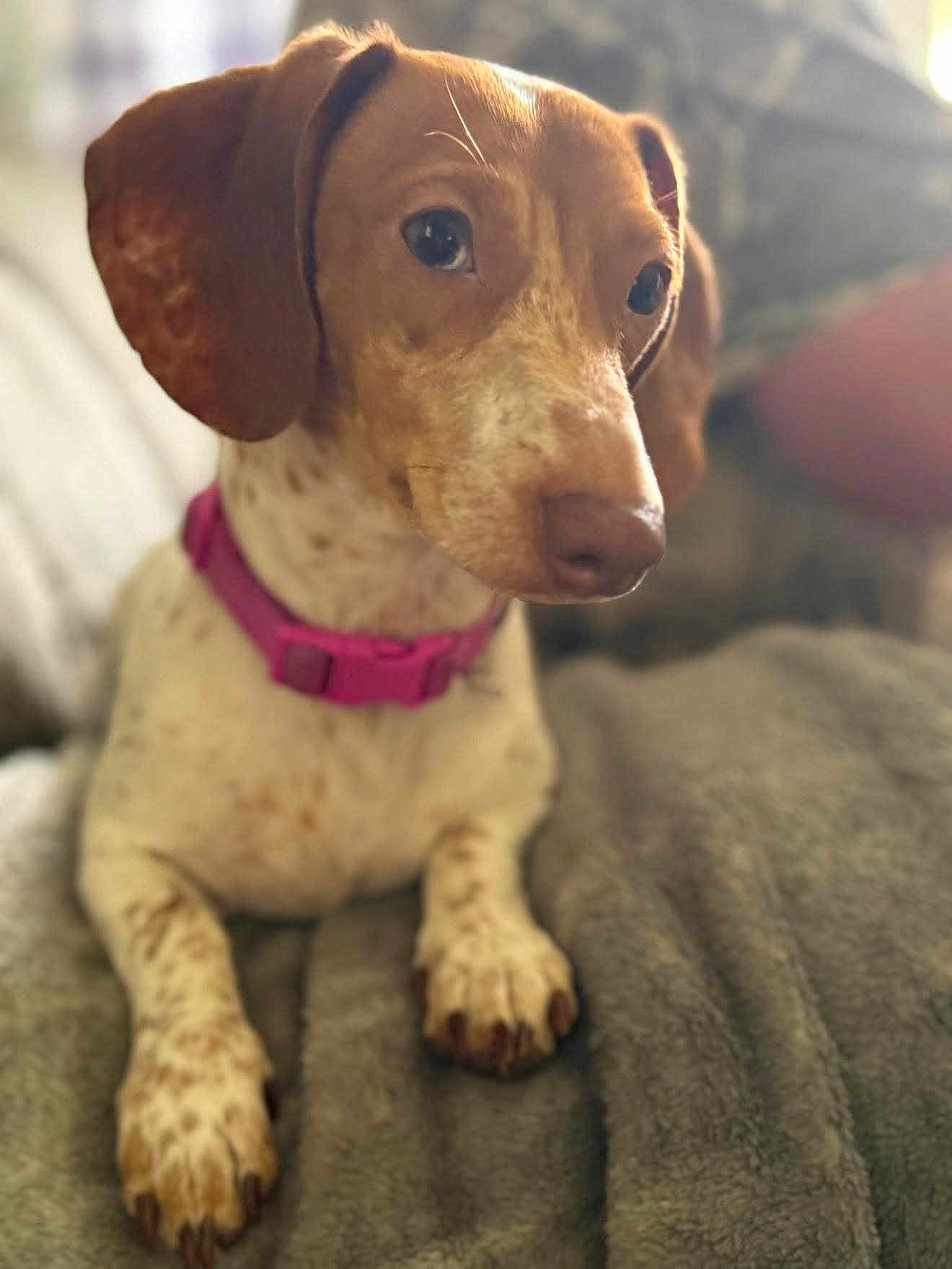 Minnie Mayham