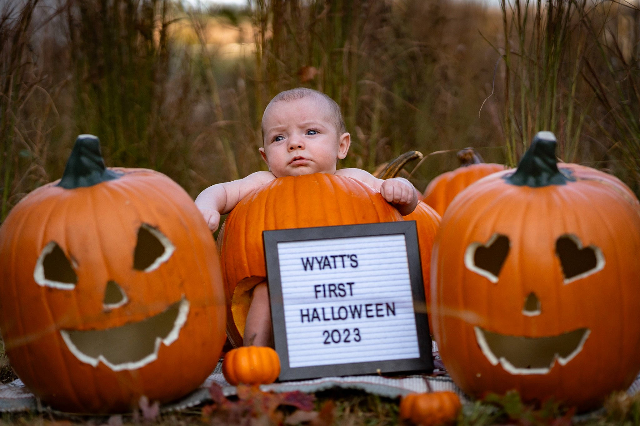Wyatt is registered to the contest to win money with this photo: _and_melon_family, _gourd, calabaza, cucumber, cucurbita, facial_expression, gourd, grass, happy, jack_o_lantern, local_food, natural_foods, orange, person, plant, pumpkin, smile, squash, tree, trick_or_treat