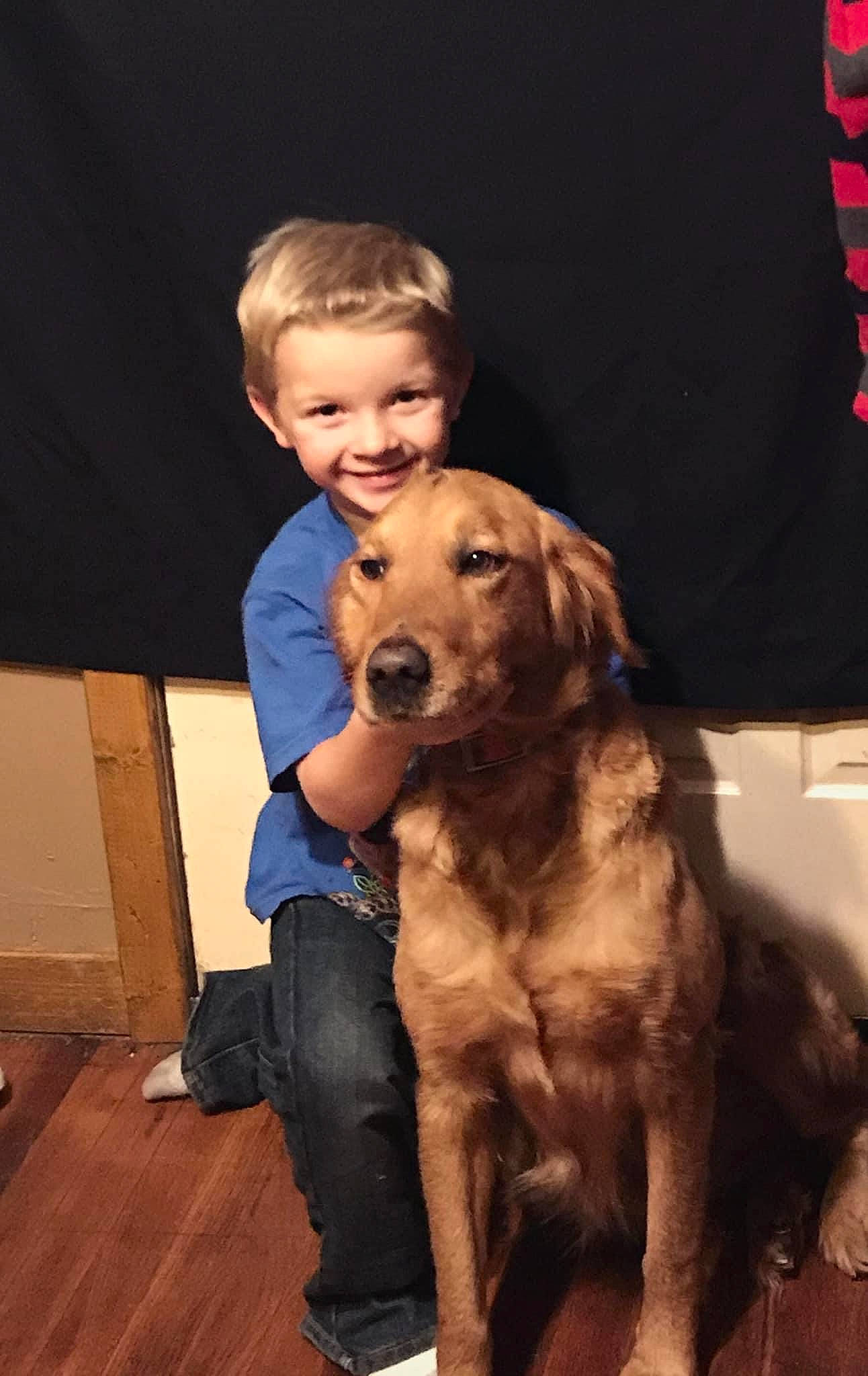 Red is registered to the contest to win money with this photo: animal_training, blond, canidae, carnivore, collar, companion_dog, dog, dog_breed, fawn, gun_dog, human, laminate_flooring, liver, retriever, sporting_group, vertebrate, wood_flooring, working_animal, working_dog