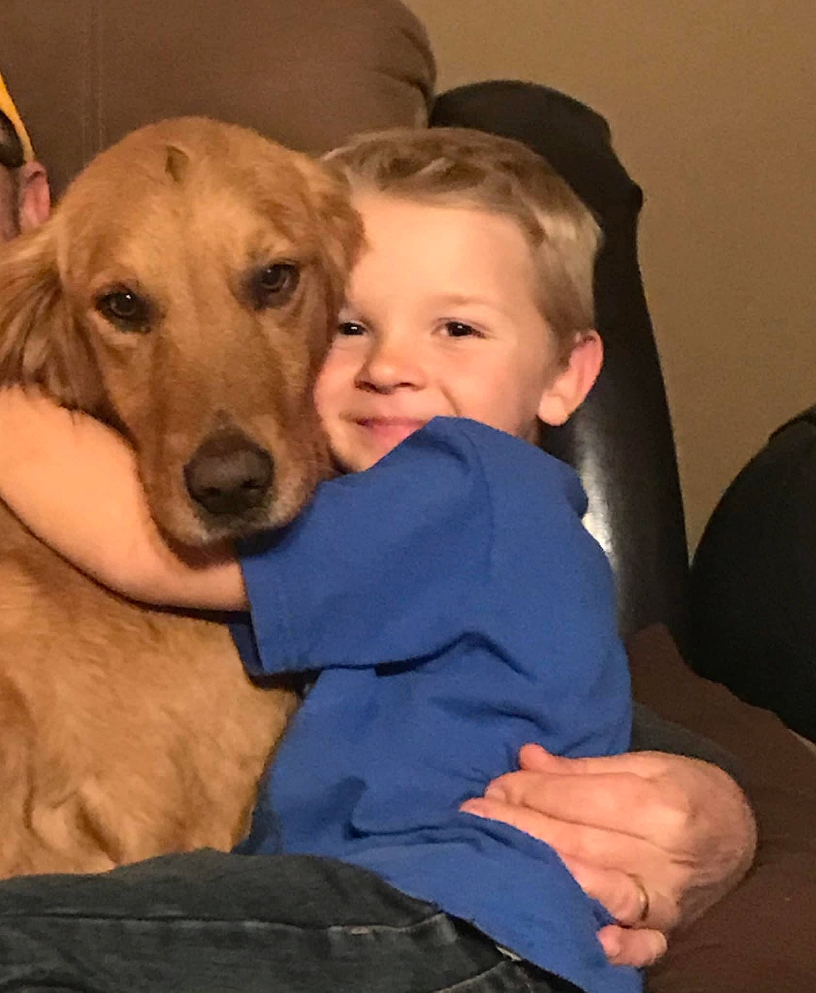 Red joined the competition — help win amazing prizes! baby, baby_toddler_clothing, carnivore, collar, comfort, companion_dog, dog, dog_breed, fawn, finger, human, interaction, labrador_retriever, lap, love, retriever, skin, sporting_group, thumb, working_animal