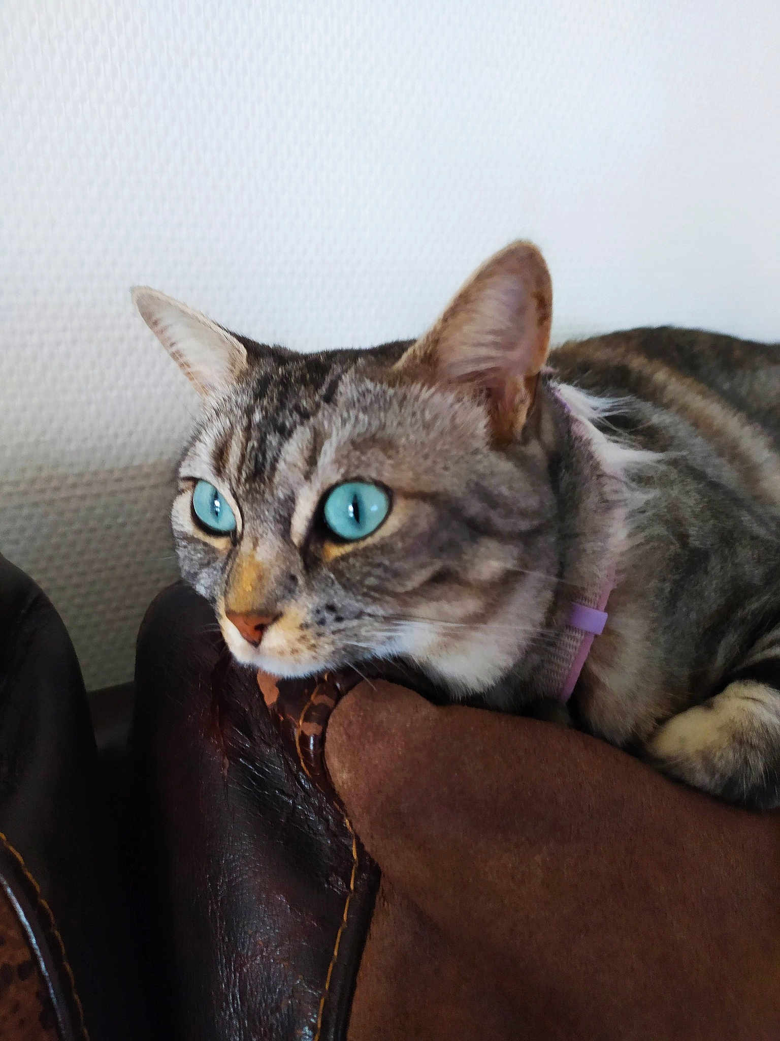 Loona