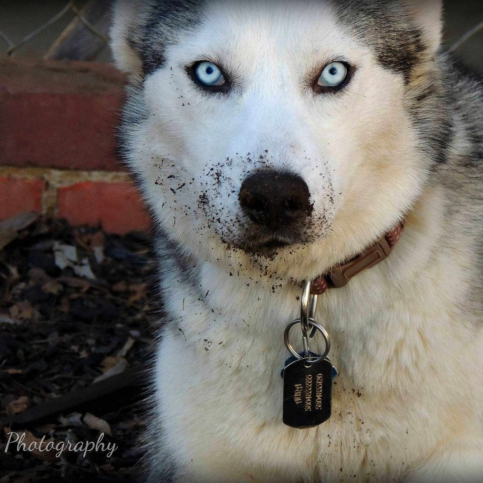 Aura is registered to the contest to win money with this photo: