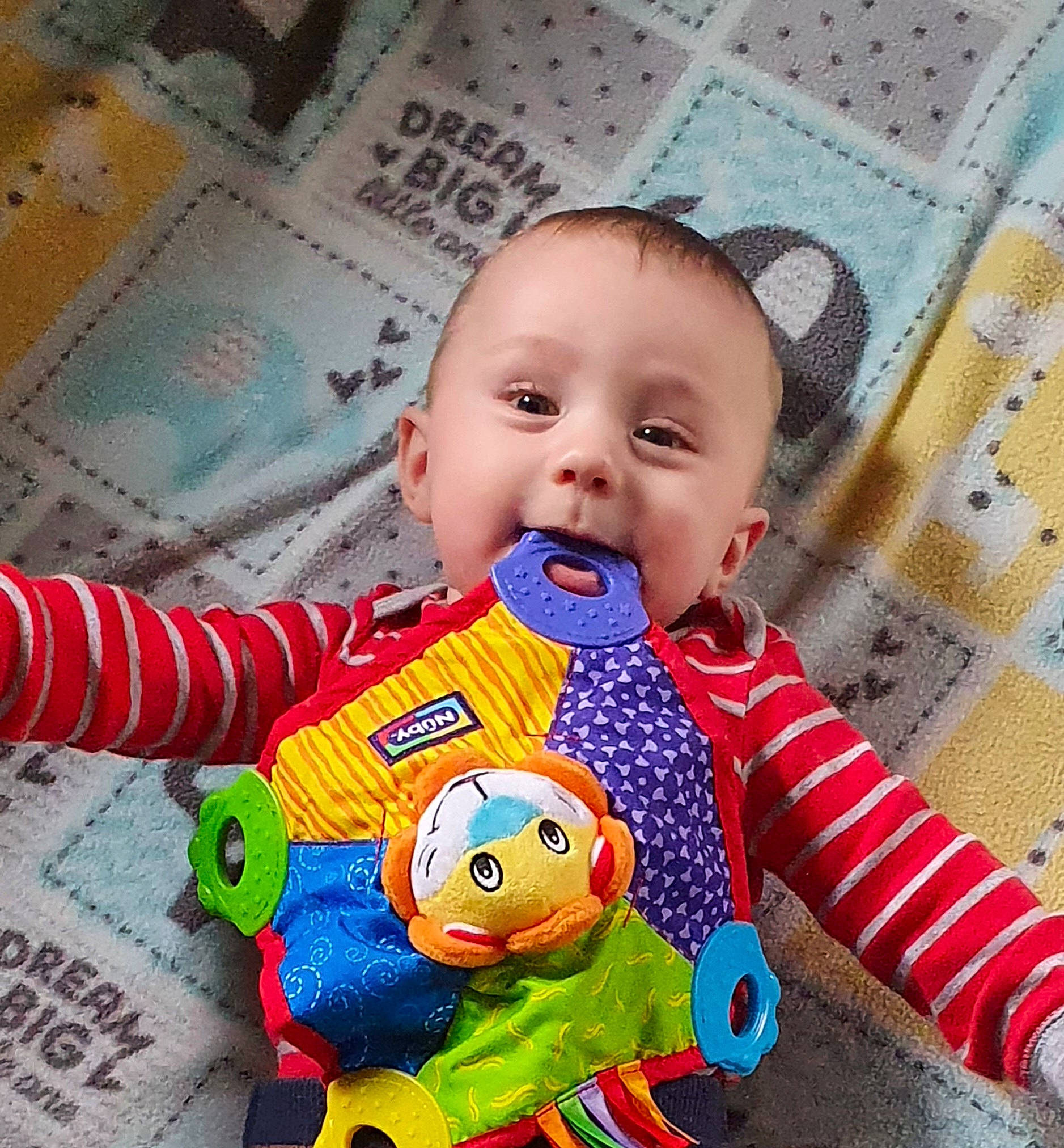 Kingstyn joined the competition — help win amazing prizes! baby, baby_toddler_clothing, cheek, cool, facial_expression, green, happy, head, iris, mouth, nose, organ, outerwear, person, photograph, product, skin, sleeve, textile, toddler