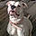 Roxie