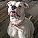 Roxie