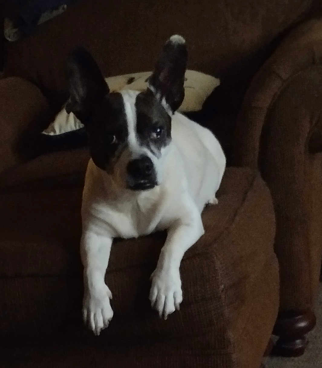 Roxie