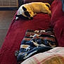 dog, couch, blanket, pillow, indoor, resting, sleeping, pet, red_couch, patterned_blanket, plaid_pillow, carpet, heater, relaxation, cozy, furniture, animal, domestic, comfort, home