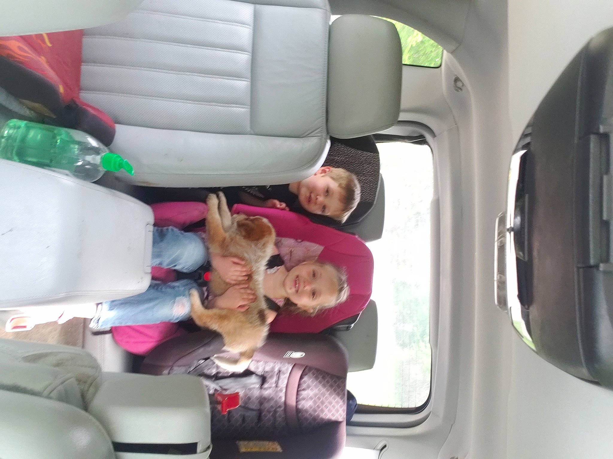 Darian is registered to the contest to win money with this photo: car, car_seat, car_seat_cover, joy, person, vehicle