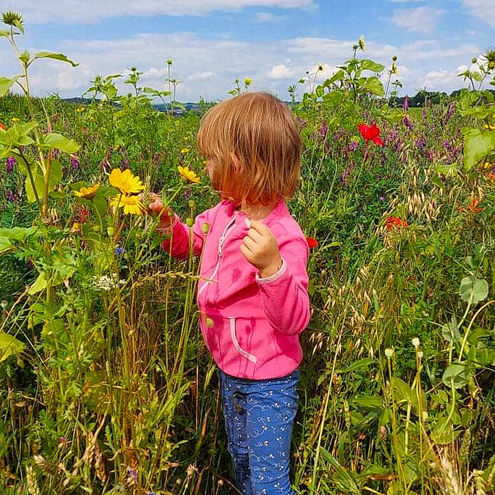 Luna a rejoint le concours — aidez-le/la à gagner de superbes lots ! agriculture, annual_plant, biome, cloud, ecoregion, flower, flowering_plant, grass, grass_family, grassland, landscape, meadow, natural_landscape, people_in_nature, petal, plant, rural_area, shrub, sky, vegetation