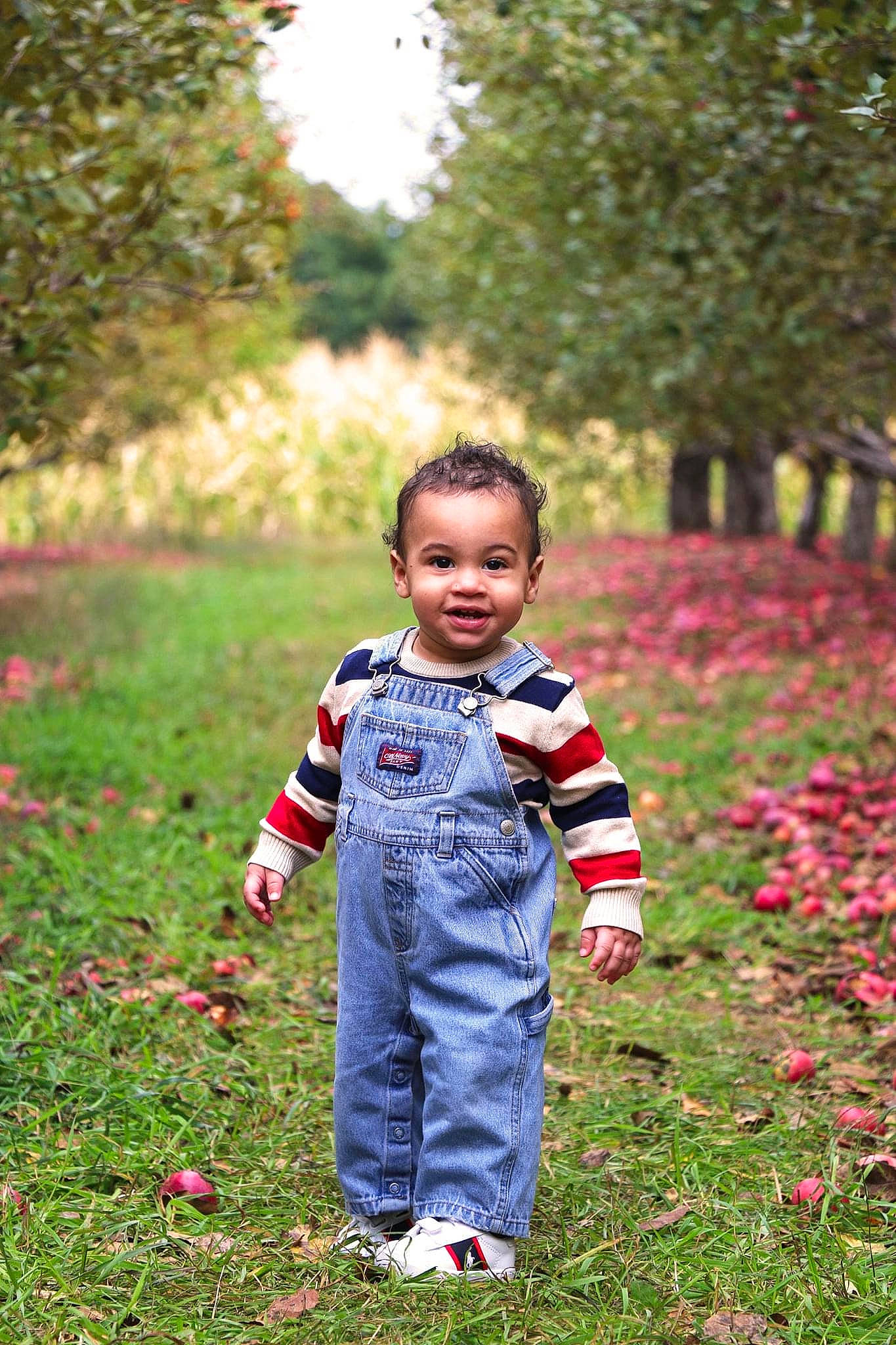 Zander joined the competition — help win amazing prizes! annual_plant, baby, baby_toddler_clothing, botanical_garden, child, coquelicot, garden, groundcover, joy, meadow, nightwear, overall, pattern, people_in_nature, person, petal, plantation, play, shrub, sleeve