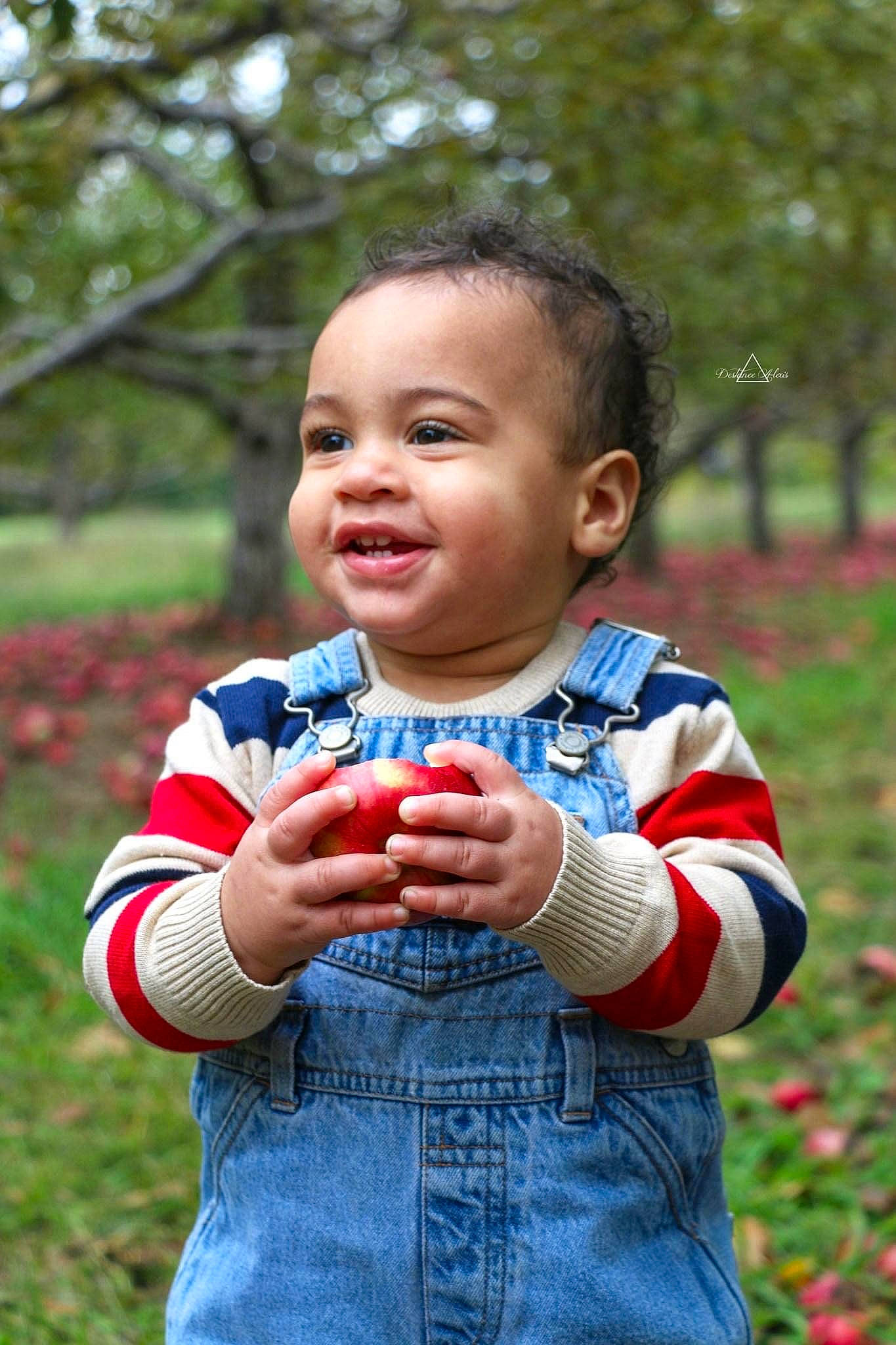 Zander joined the competition — help win amazing prizes! arm, baby, baby_toddler_clothing, berry, carmine, cheek, child, denim, finger, fruit, hand, human, laugh, overall, person, play, produce, strawberry, taste, thumb