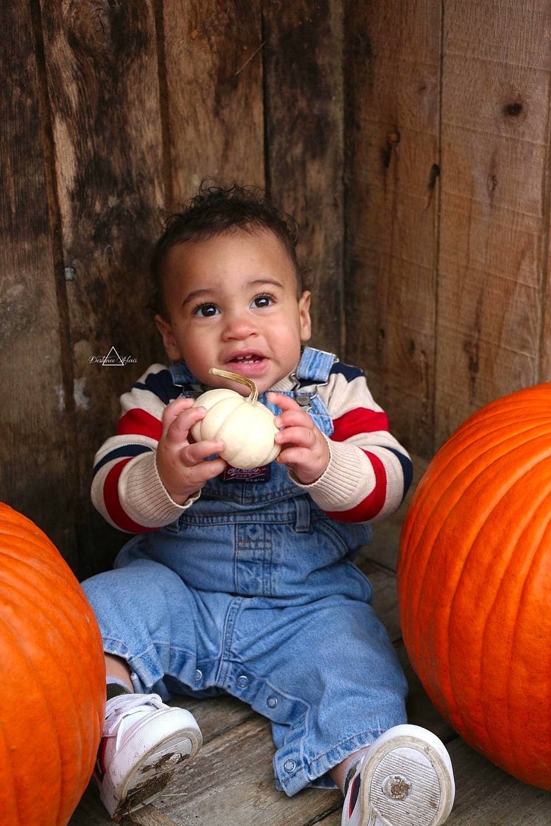 Zander joined the competition — help win amazing prizes! _and_melon_family, _gourd, baby_toddler_clothing, calabaza, cheek, child, comfort, cucumber, denim, gourd, jeans, local_food, natural_foods, orange, person, produce, pumpkin, shoe, sitting, squash