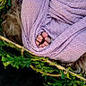 Adalynn is registered to the contest to win money with this photo: baby, toes, basket, lavender, knit_wrap, newborn, greenery, leaves, cozy, soft_texture, wrapped, infant, closeup, natural_light, peaceful, tiny, cute, fresh, resting, portrait