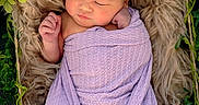 Adalynn is registered to the contest to win money with this photo: newborn, baby, infant, flower_crown, blanket, purple, basket, fur, greenery, sleeping, wrapped, cute, peaceful, portrait, closeup, indoors, soft_texture, baby_feet, baby_hands, nature_theme