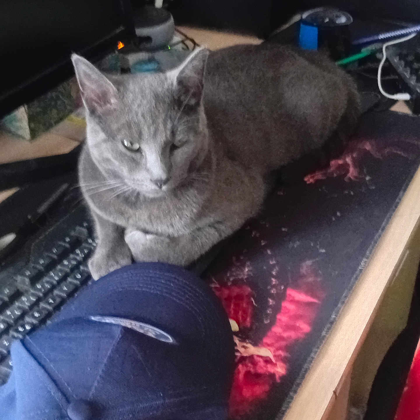 Tigrou