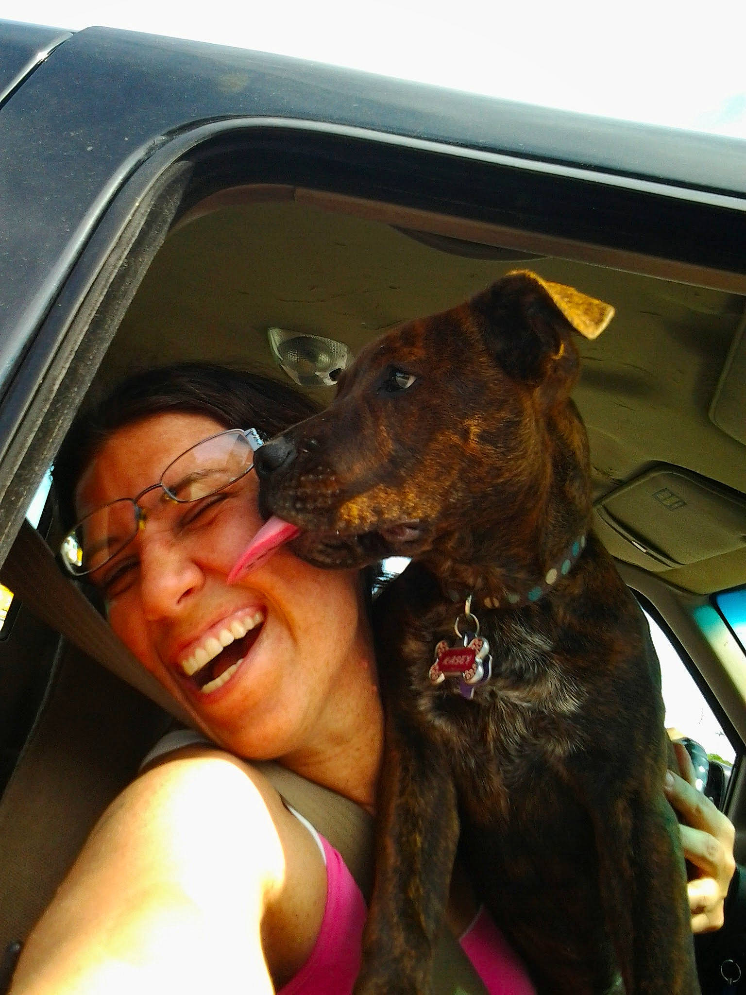 Kasey joined the competition — help win amazing prizes! canidae, carnivore, dog, dog_breed, fawn, person, smile, snout