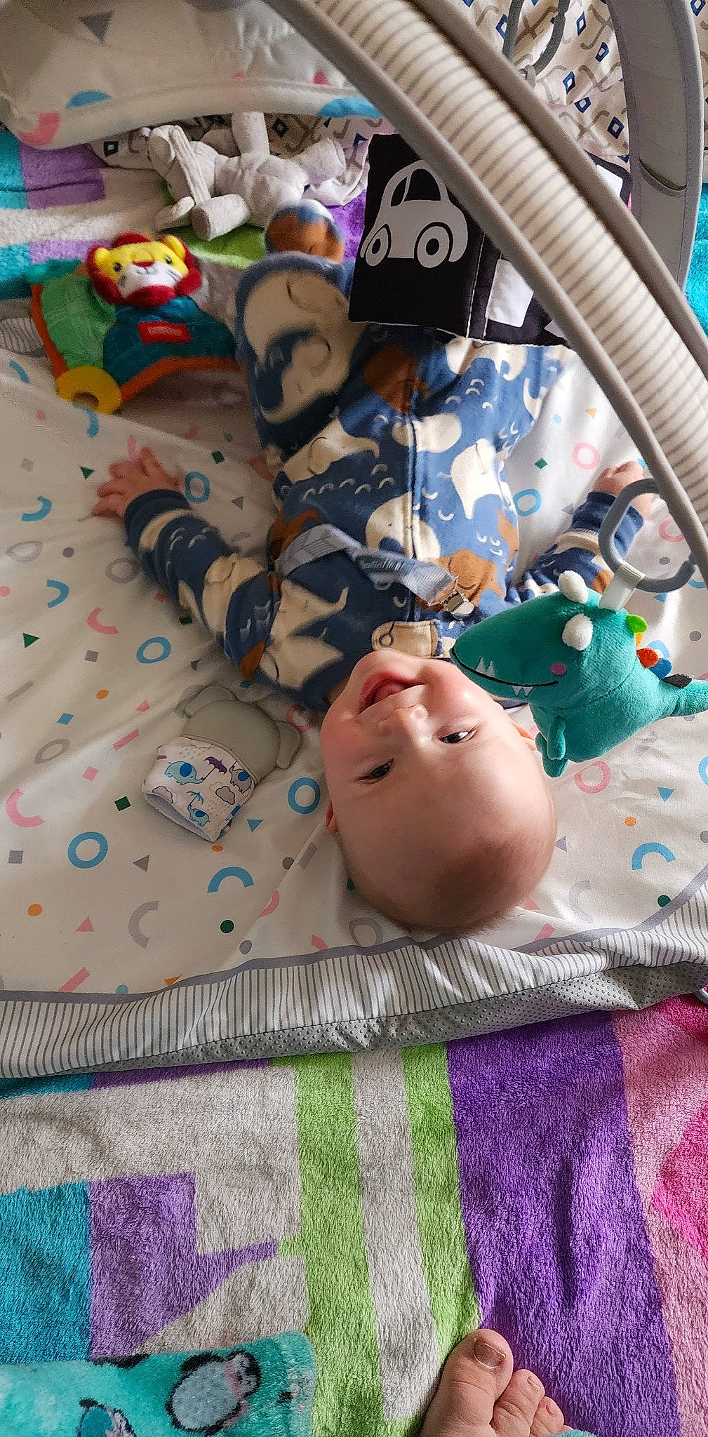 Winston is registered to the contest to win money with this photo: baby, baby_products, baby_toddler_clothing, bed_sheet, bedding, blue, child, comfort, flooring, fur, joy, linens, pattern, person, plastic, plush, room, stuffed_toy, textile, toddler