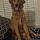 Jaxson
