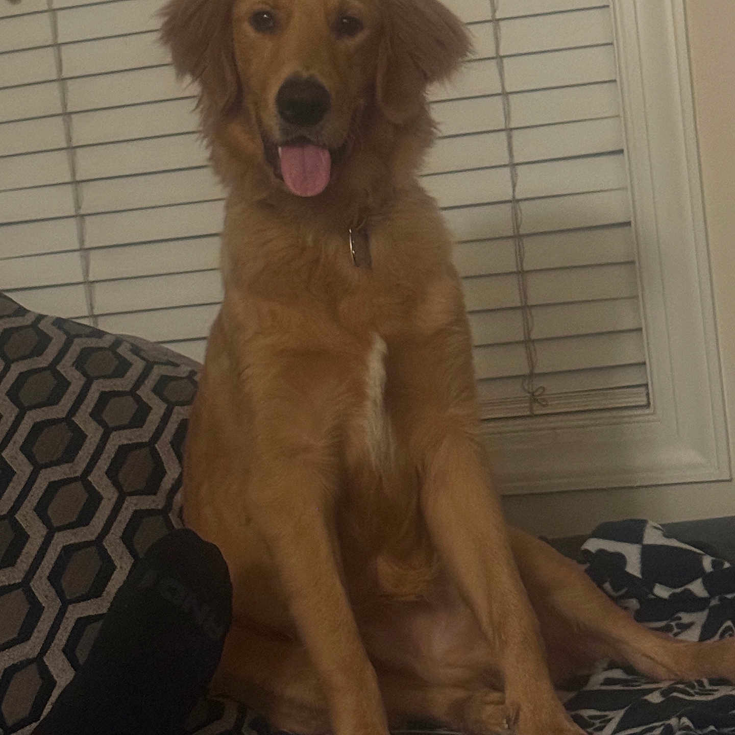 Jaxson