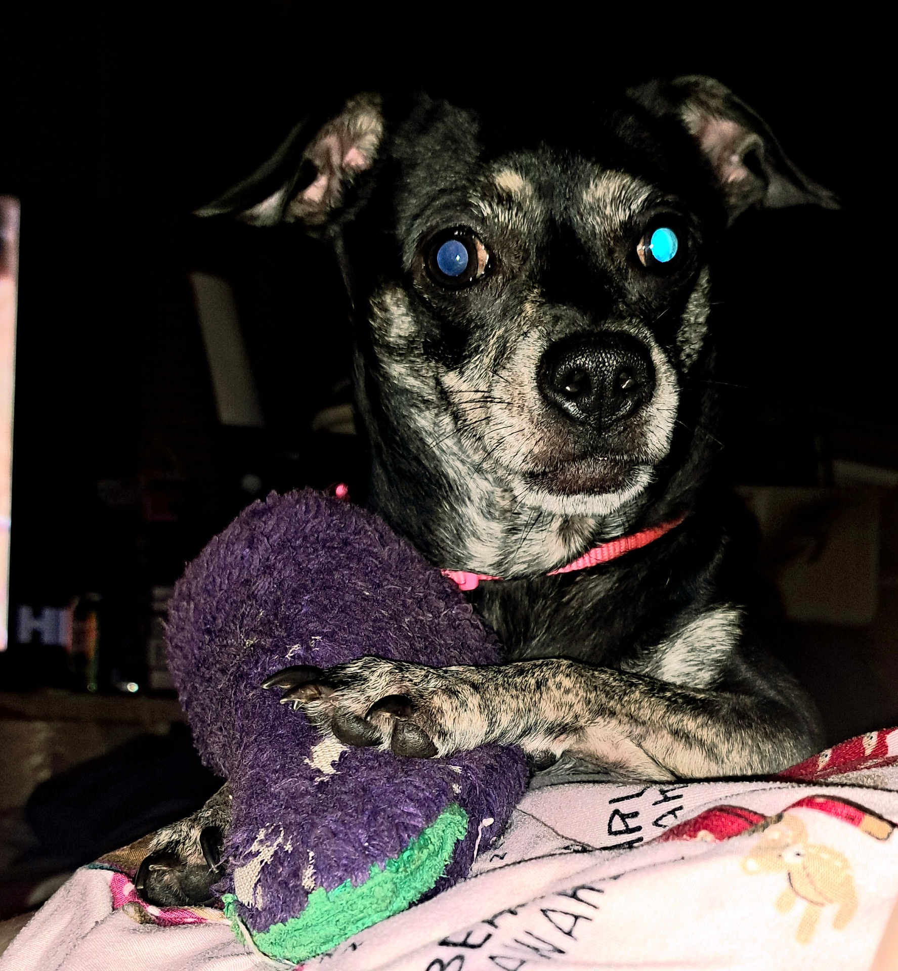 Pepper
