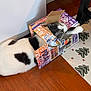 Rain is registered to the contest to win money with this photo: cat, feline, cardboard_box, torn_box, hardwood_floor, indoors, white_wall, curious, playful, green_eyes, black_and_white_fur, paw, packing_material, holiday_pattern, mat, chair_leg, sticker, pet, close_up, domestic_cat