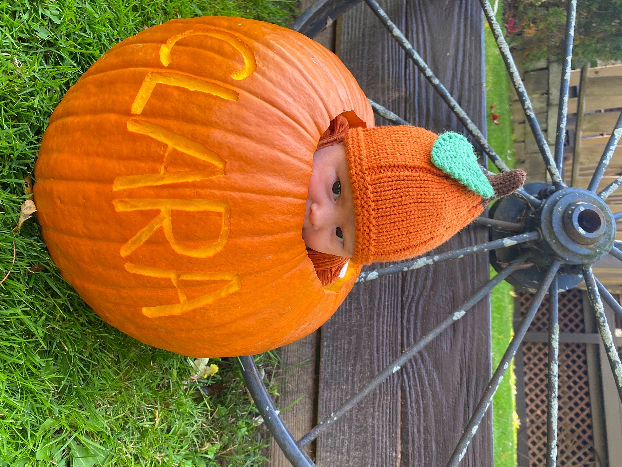 Clara joined the competition — help win amazing prizes! art, automotive_wheel_system, bicycle_tire, calabaza, cucurbita, gourd, grass, hat, headwear, jack_o_lantern, lawn_ornament, leisure, orange, person, plant, pumpkin, squash, tree, vegetable, wheel