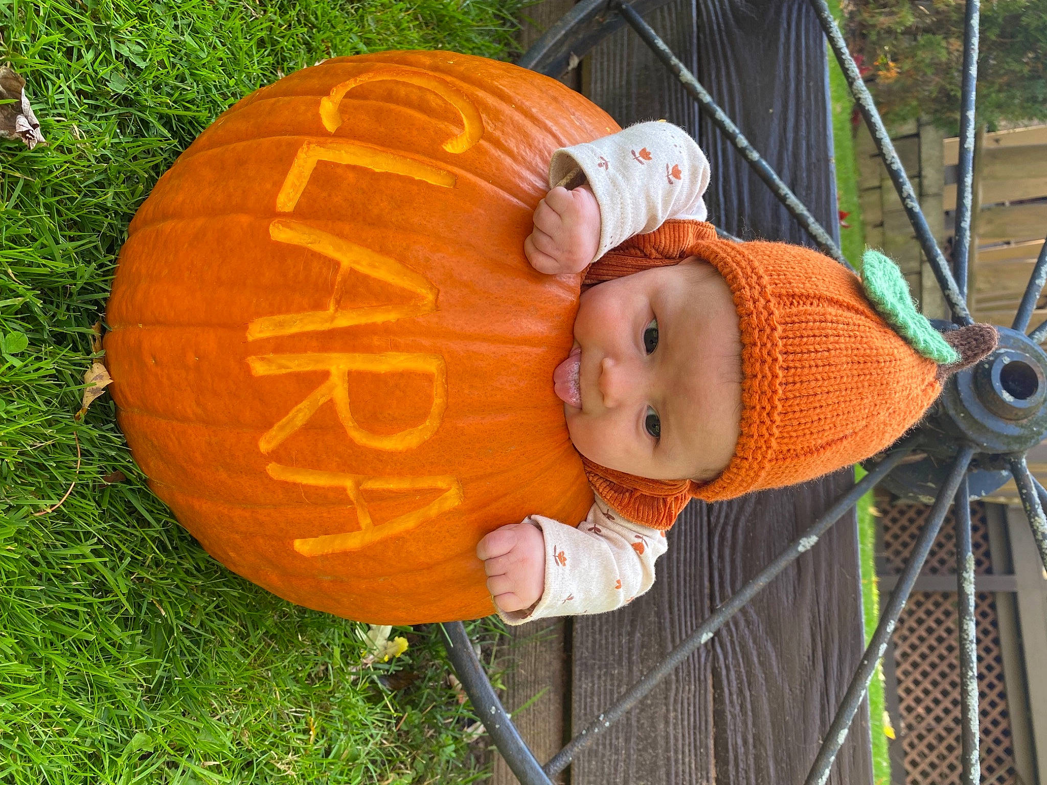 Clara is registered to the contest to win money with this photo: baby_toddler_clothing, calabaza, cucurbita, fruit, gourd, grass, hat, headwear, human_body, jack_o_lantern, lawn_ornament, orange, person, plant, pumpkin, smile, squash, toddler, tree, vegetable