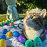animal, blanket, cat, closeup, colorful, cute, easter_eggs, flower_crown, garden, greenery, holiday, outdoor, pet, ribbon, sculpture, soft_toy, spring, sunlight, tabby_cat, whiskers