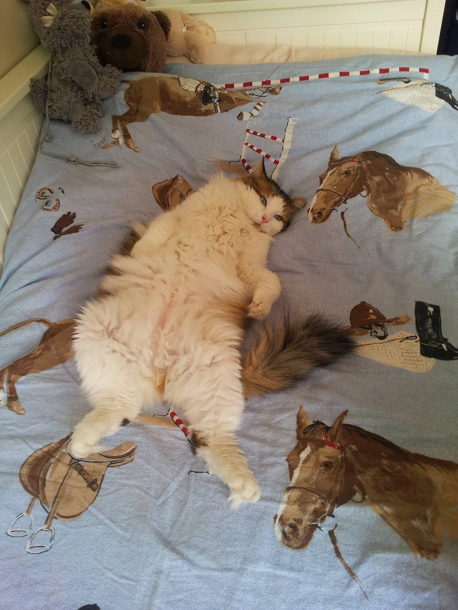 Galilé a rejoint le concours — aidez-le/la à gagner de superbes lots ! art, big_cats, canidae, carnivore, companion_dog, dog_breed, fawn, felidae, fur, horse, lion, mammal, small_to_medium_sized_cats, sporting_group, stuffed_toy, tail, terrestrial_animal, toy, wood, working_animal