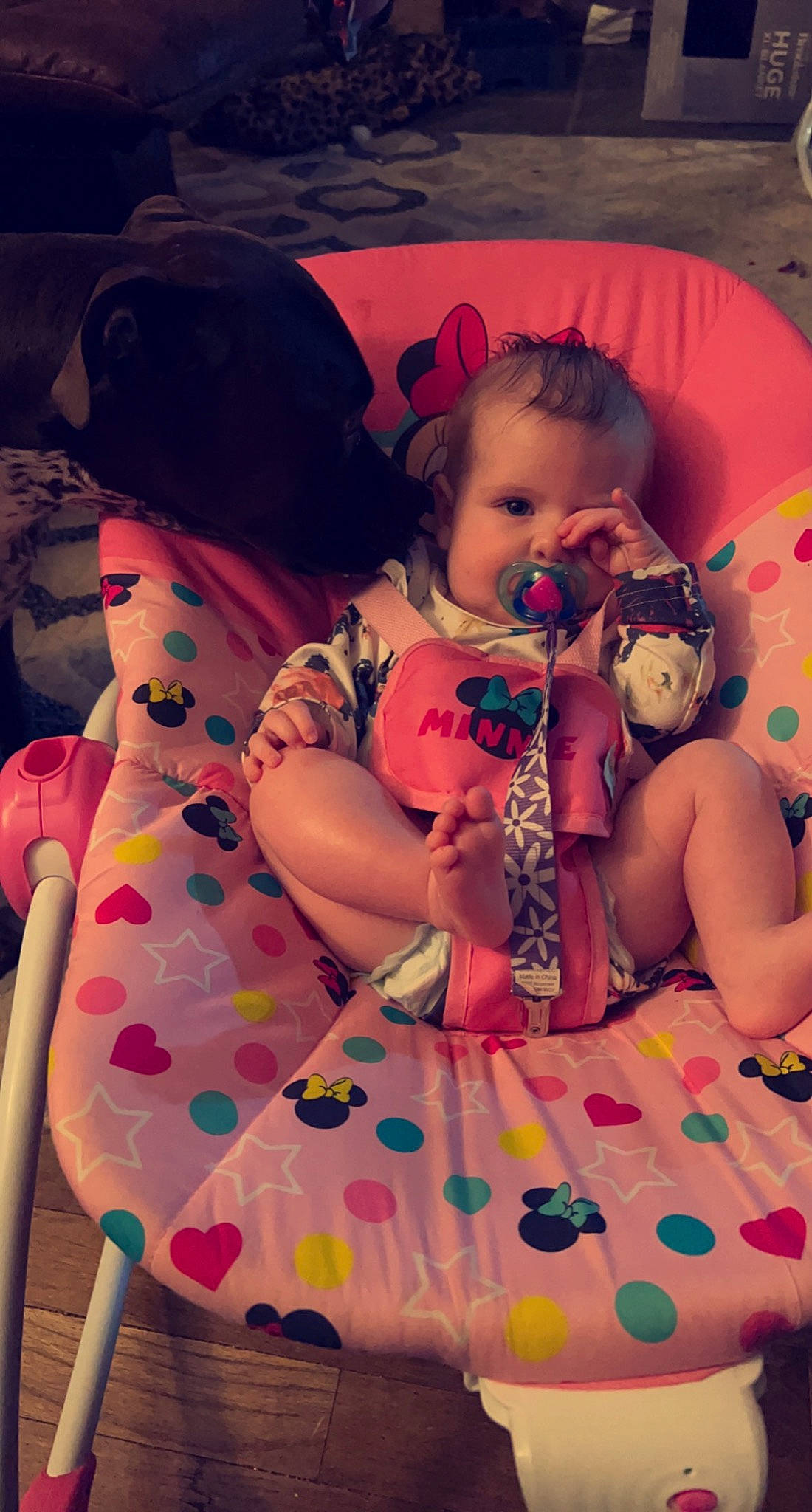 Roselyn is registered to the contest to win money with this photo: baby, baby_toddler_clothing, beauty, child, comfort, event, facial_expression, fun, happy, human, interaction, lap, magenta, mammal, person, pink, purple, sitting, skin, textile