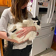 Alfie is registered to the contest to win money with this photo: person, cat, indoor, kitchen, refrigerator, magnet, note, cabinet, floor, black_and_white_cat, holding, fur, long_hair, casual_clothing, pet, home, relaxed, curious, human_hand, appliance
