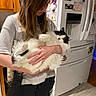 person, cat, indoor, kitchen, refrigerator, magnet, note, cabinet, floor, black_and_white_cat, holding, fur, long_hair, casual_clothing, pet, home, relaxed, curious, human_hand, appliance