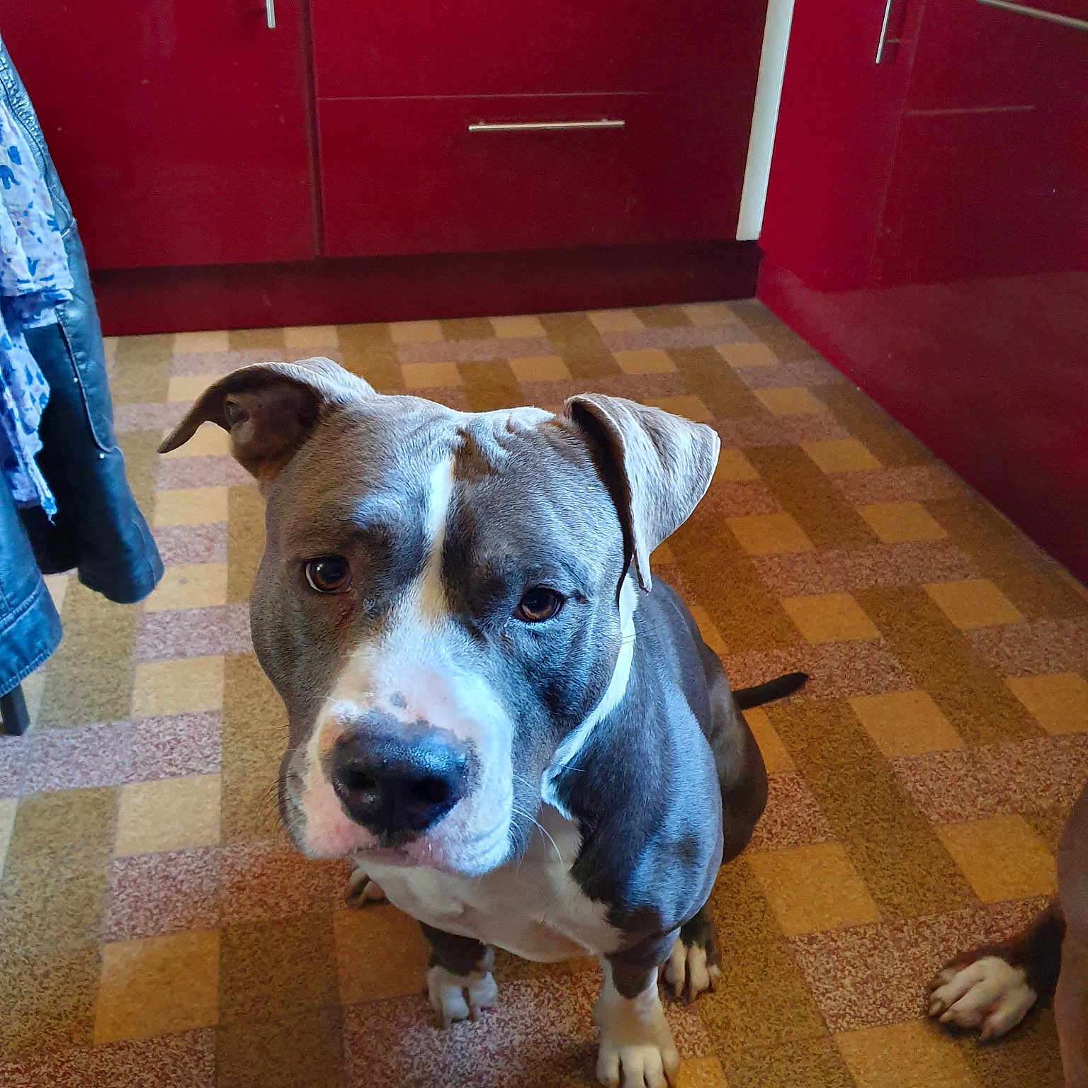 Nitro