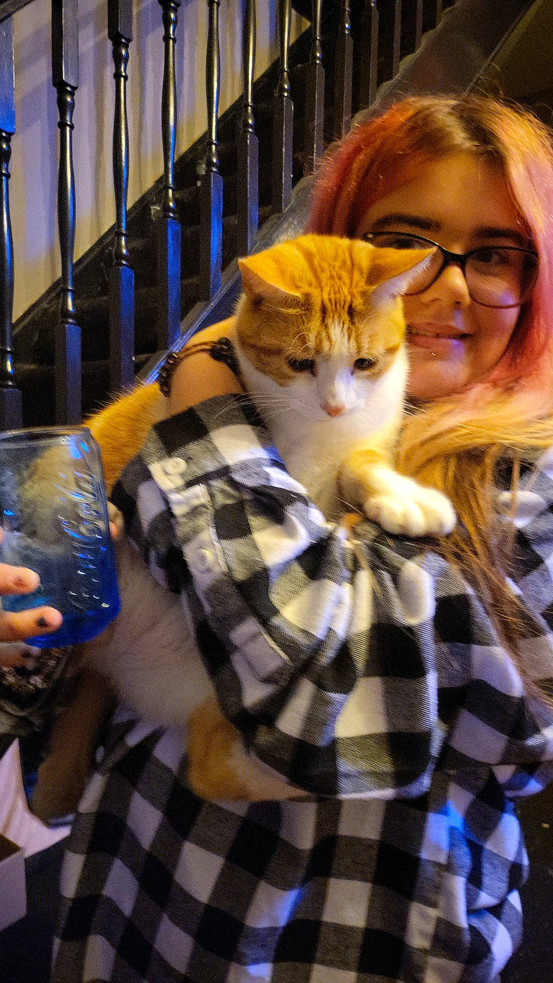 Potato joined the competition — help win amazing prizes! barware, carnivore, cat, distilled_beverage, domestic_short_haired_cat, fawn, felidae, fun, fur, glass, hand, pattern, plaid, small_to_medium_sized_cats, smile, snapshot, tartan, textile, toy, whiskers