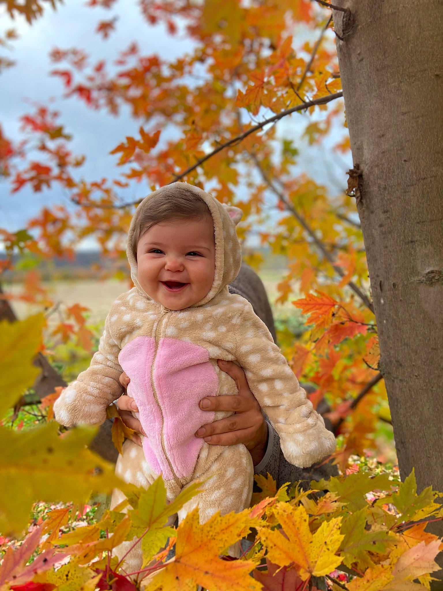 Vivian is registered to the contest to win money with this photo: baby_toddler_clothing, botany, branch, clothing, deciduous, grass, happy, joy, leaf, nature, orange, people_in_nature, person, plant, sky, smile, sunlight, toddler, tree, wood