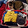 bed, blanket, blue_shirt, cat, clothes, collar, cozy, domestic_animal, fabric, fur, indoor, luggage, packing, pet, resting, suitcase, tabby_cat, tag, travel, yellow_shirt