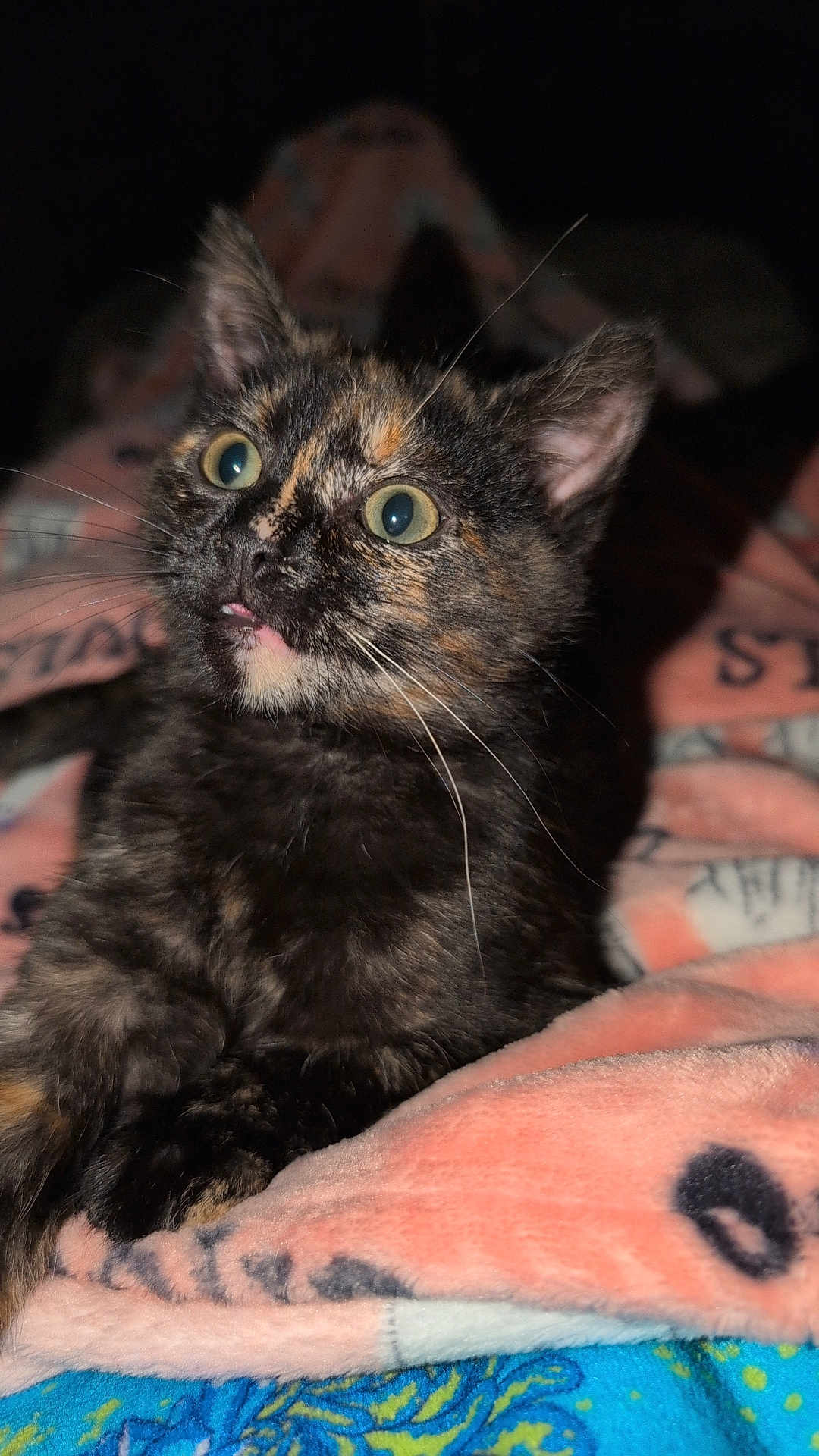 Sylvie