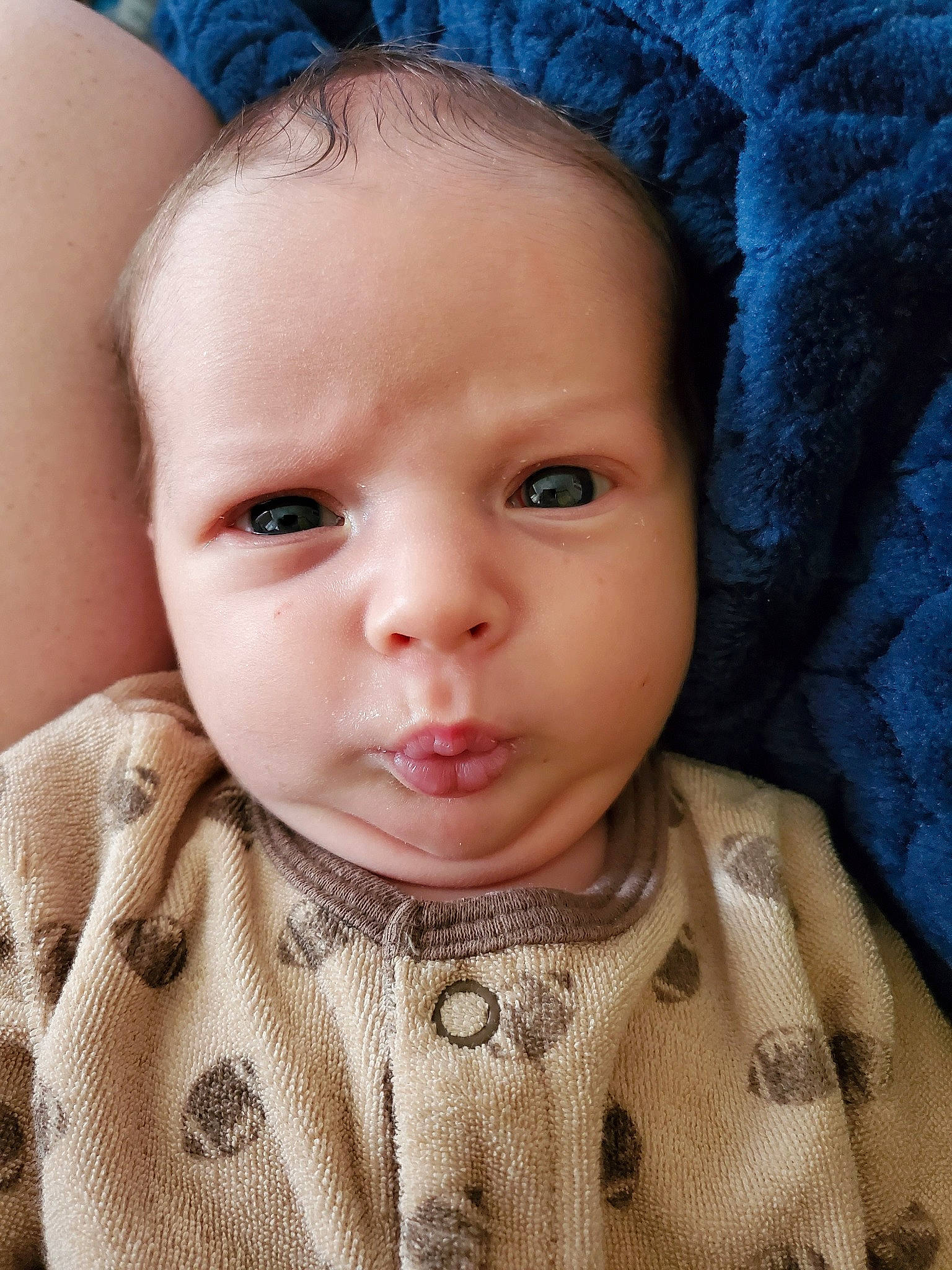 Atticus is registered to the contest to win money with this photo: baby, beauty, cheek, child, chin, close_up, ear, eye, eyebrow, face, forehead, head, iris, lip, mouth, nose, person, portrait_photography, skin, smile