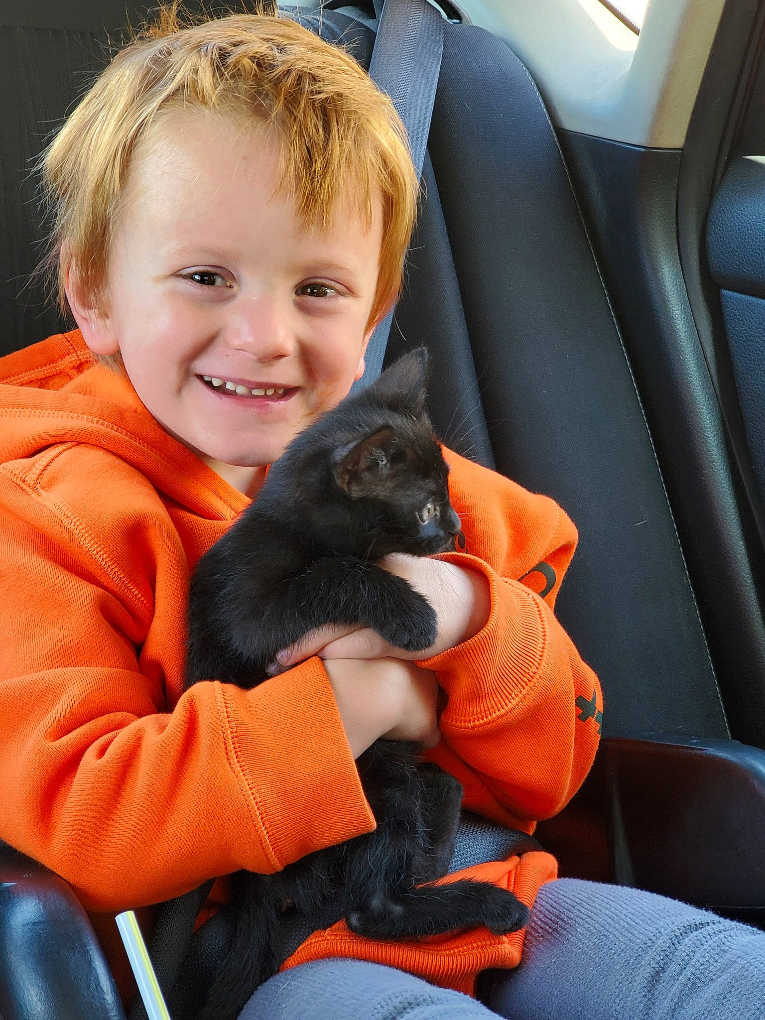 Matthew is registered to the contest to win money with this photo: black_cat, carnivore, cat, chartreux, child, domestic_short_haired_cat, felidae, joy, korat, nebelung, person, russian_blue, small_to_medium_sized_cats