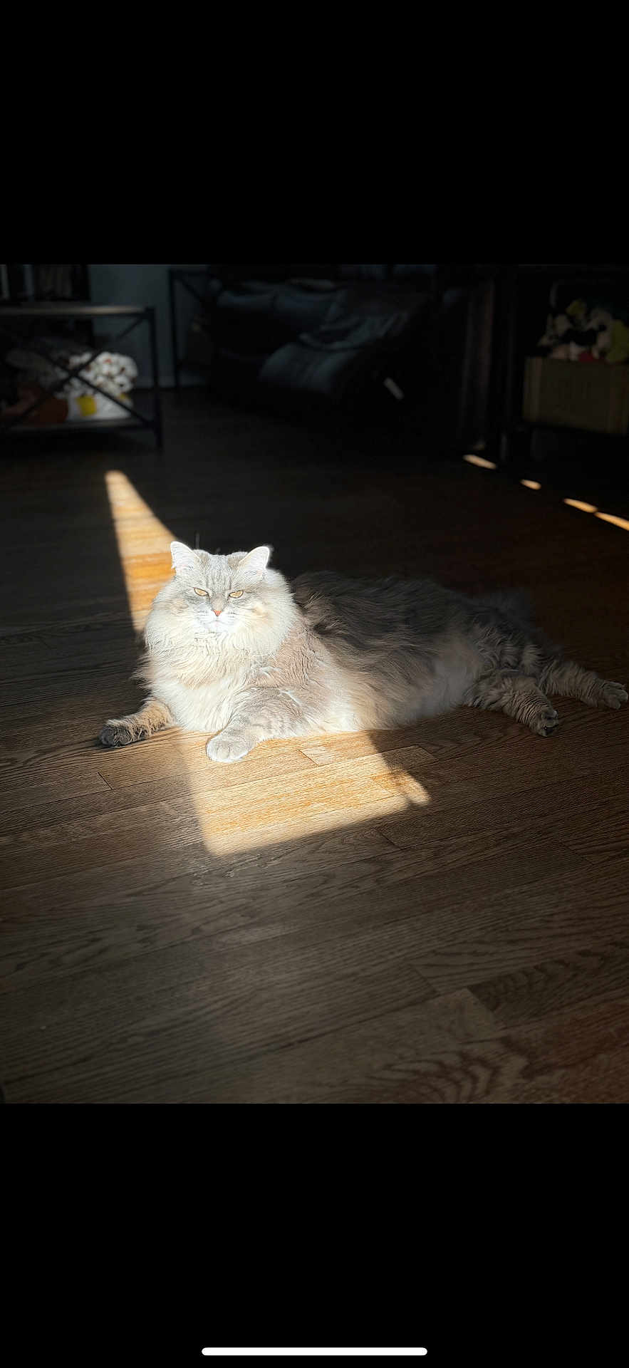 Chloe