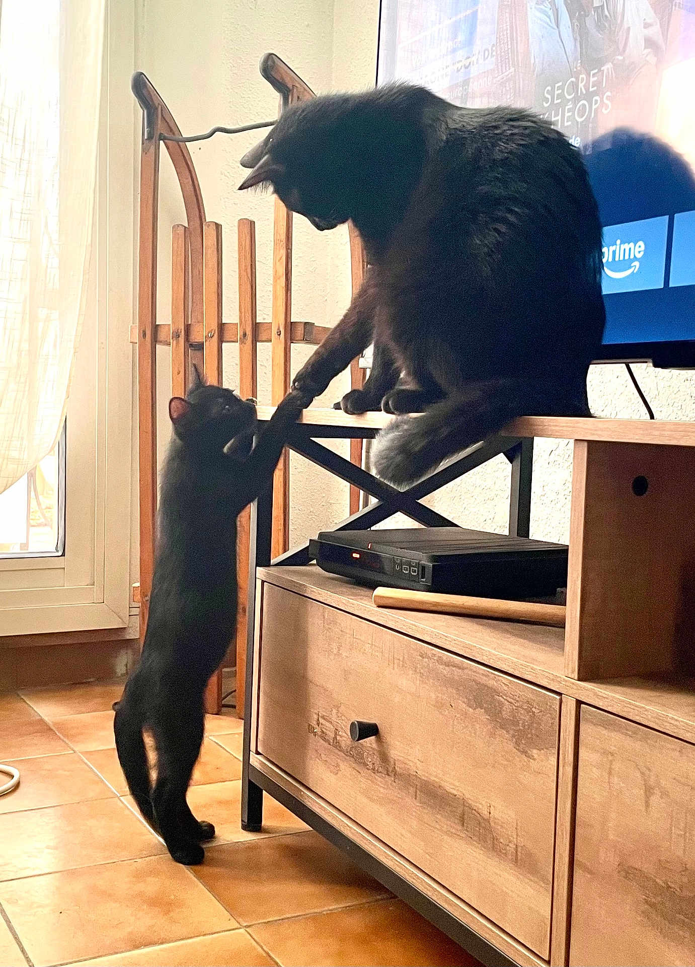 Anakin Et Vador